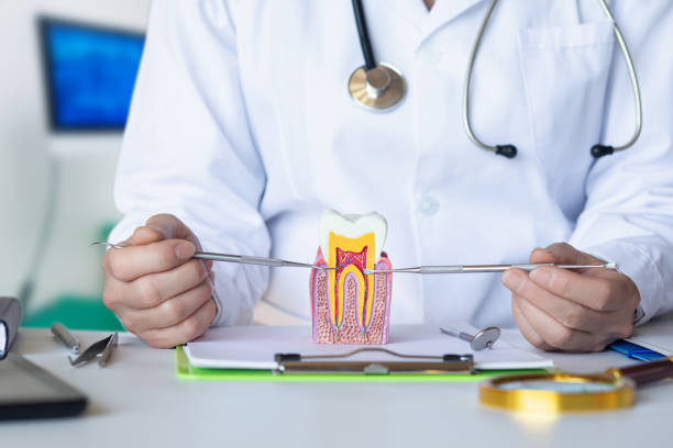 Best Emergency Root Canal Treatment in Crest View Heights, NY